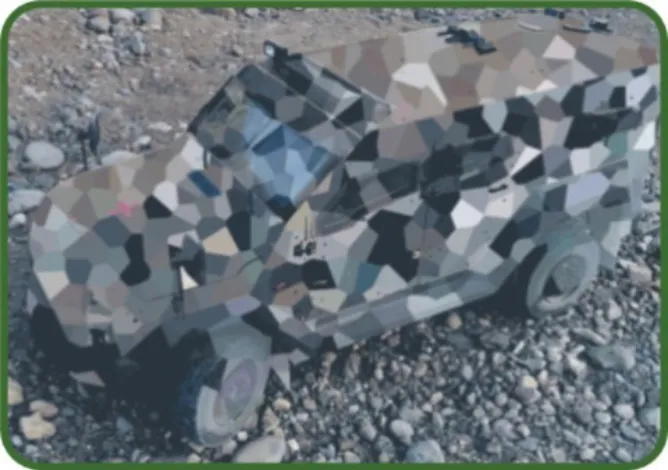 After camouflage